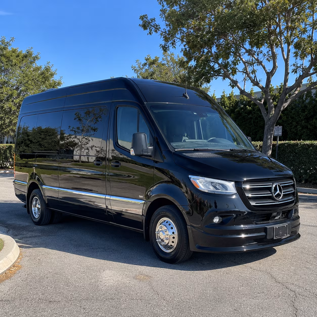 find the perfect transportation for your next birthday 1